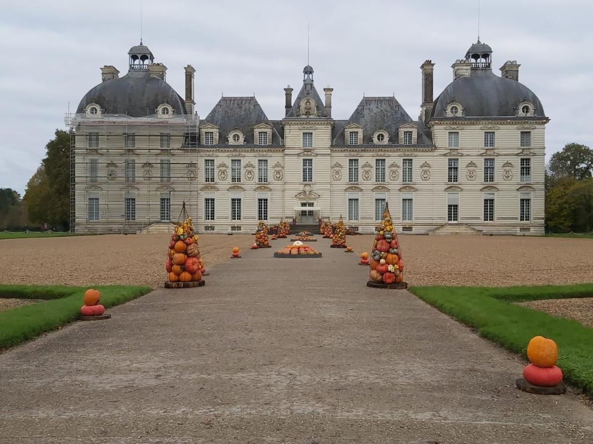 Gite Le Cerf Solognot Proche Chateau Chambord, Lamotte Beuvron Neung-sur-Beuvron المظهر الخارجي الصورة